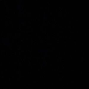 Meet your Posher, Katelyn